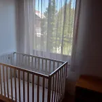 Apartment 14 Ferohelyes Haz Sajat Steggel, Jatszoterrel Balatonfenyvesen Vizparti Utcaban Balatonfenyves