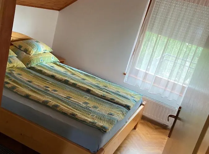 14 Ferohelyes Haz Sajat Steggel, Jatszoterrel Balatonfenyvesen Vizparti Utcaban Apartament *