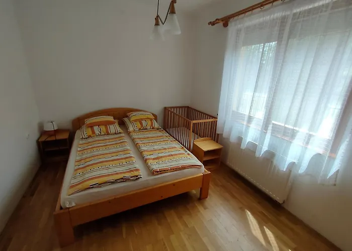 Apartament 14 Ferohelyes Haz Sajat Steggel, Jatszoterrel Balatonfenyvesen Vizparti Utcaban